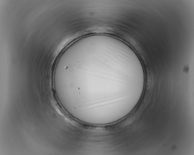 X0000112460986200909071105