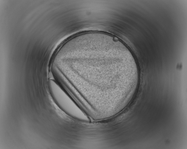 X0000112460988200909071105