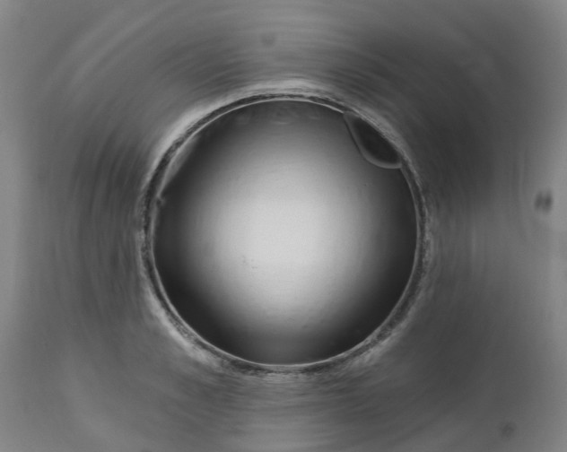 X0000112460989200909071105