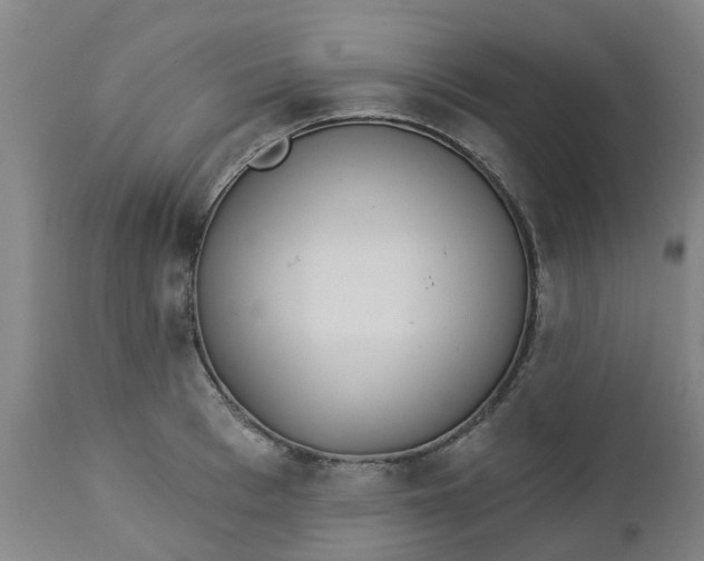 X0000112460993200909071105