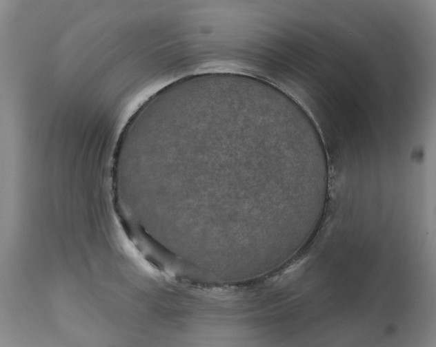 X0000112460995200909071105