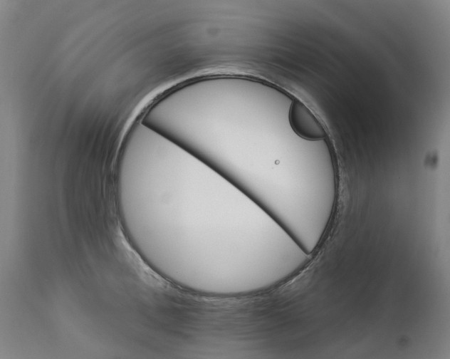 X0000112460996200909071105