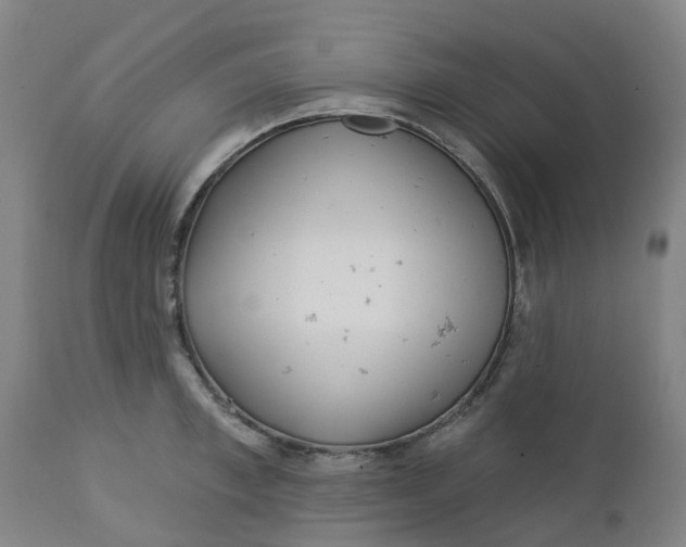 X0000112460997200909071105