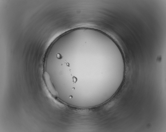 X0000112460999200909071105