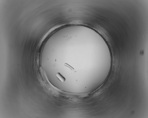 X0000112461000200909071105