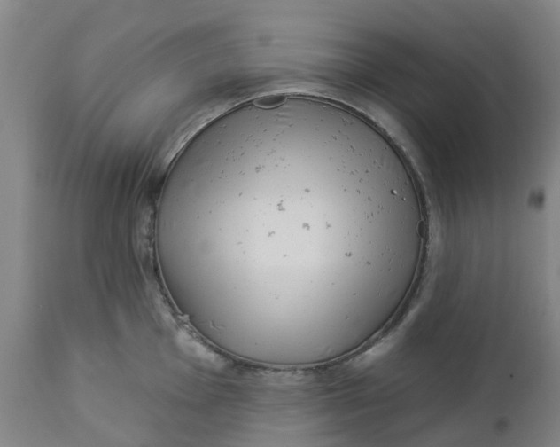 X0000112461001200909071105