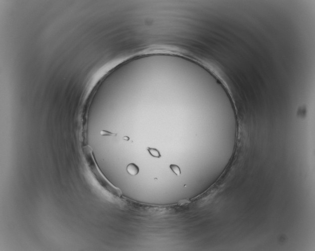 X0000112461003200909071105