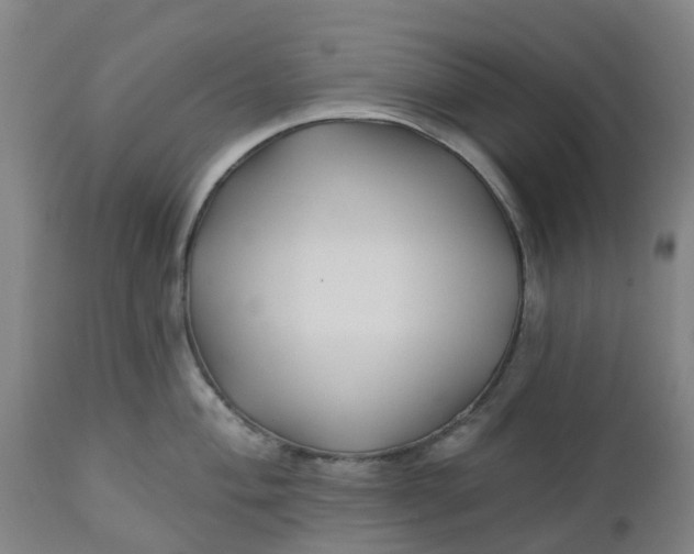 X0000112461004200909071105