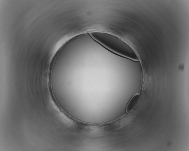 X0000112461005200909071105