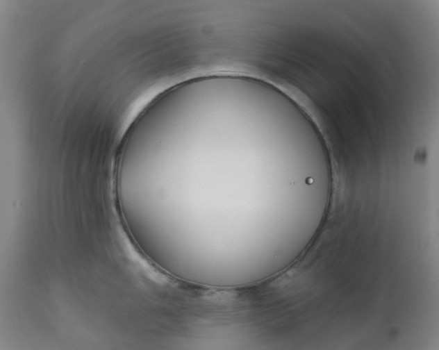 X0000112461006200909071105