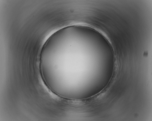 X0000112461007200909071105