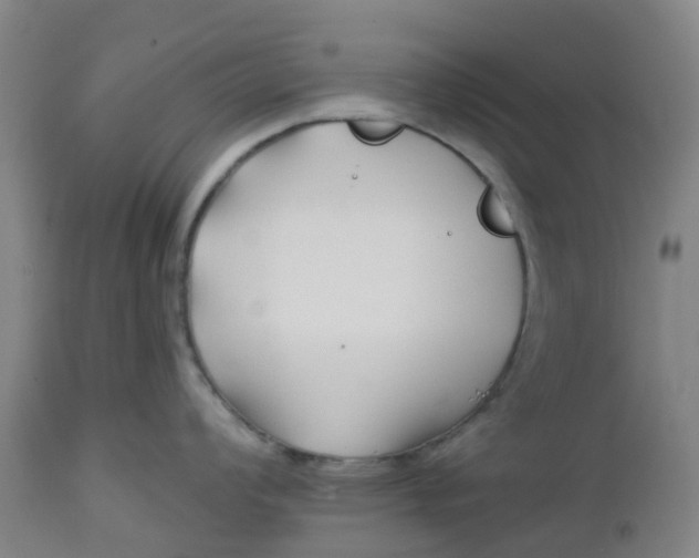 X0000112461008200909071105