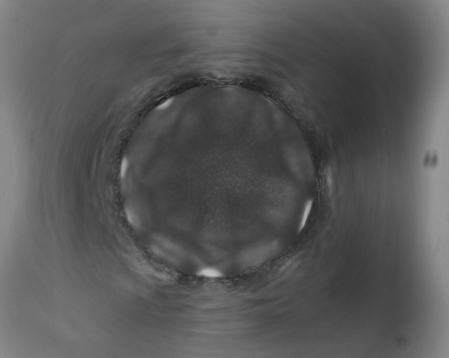 X0000112461009200909071104