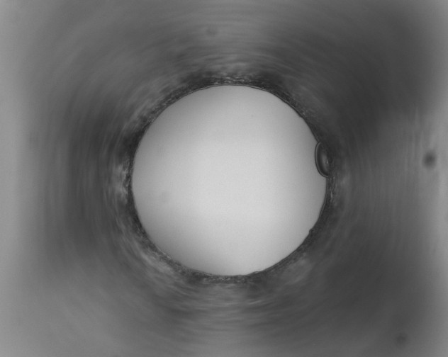 X0000112461010200909071104