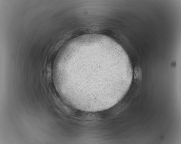 X0000112461011200909071104