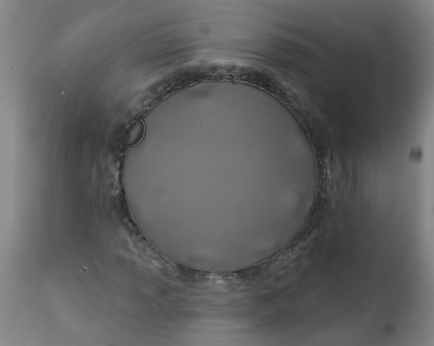 X0000112461013200909071104