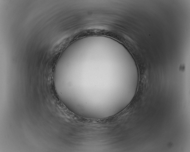 X0000112461014200909071104