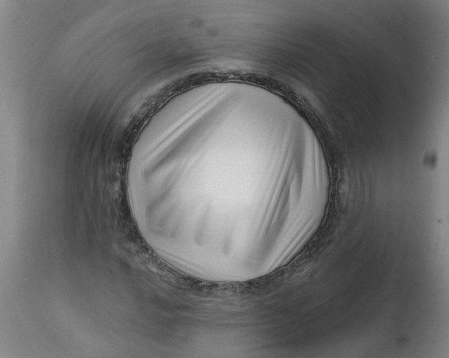 X0000112461016200909071104