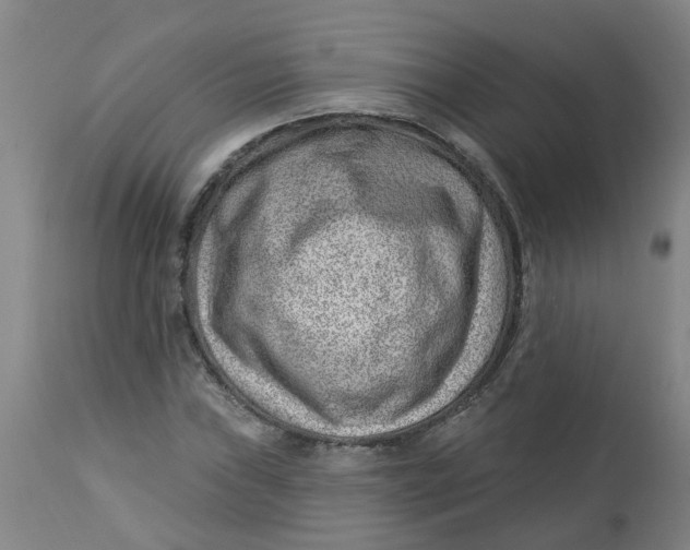 X0000112461019200909071105