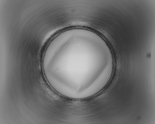 X0000112461022200909071105