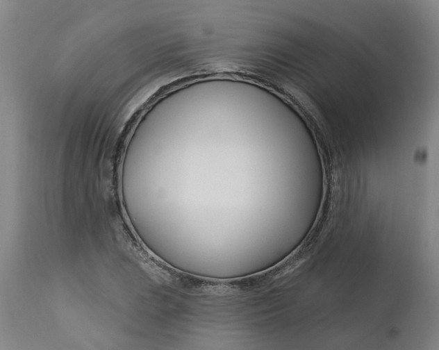 X0000112461023200909071105