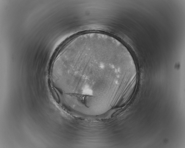 X0000112461024200909071105