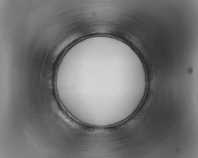 X0000112461026200909071105