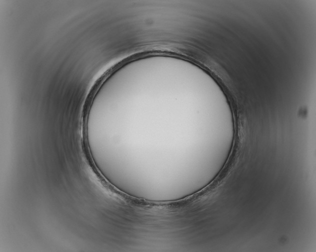 X0000112461028200909071105