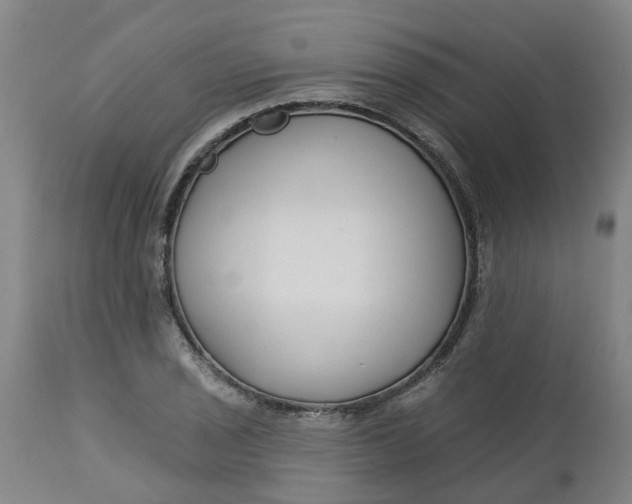 X0000112461029200909071105