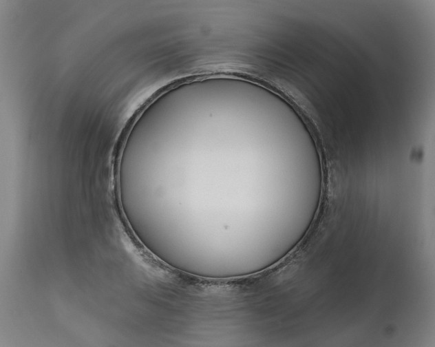 X0000112461031200909071105