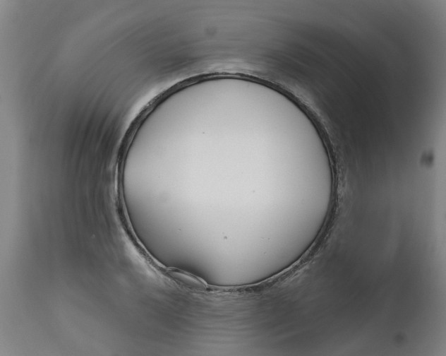 X0000112461032200909071105