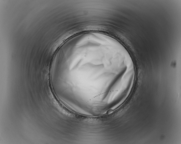 X0000112461033200909071105