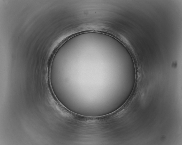 X0000112461035200909071105