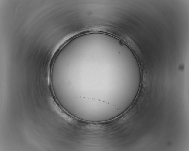 X0000112461036200909071105