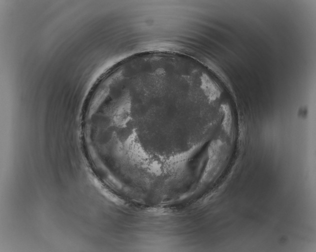 X0000112461037200909071105