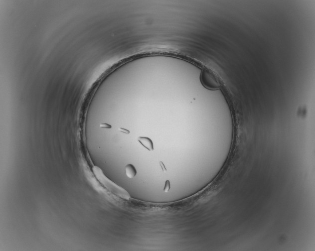 X0000112461038200909071105