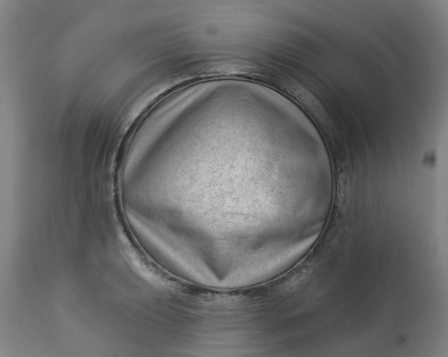 X0000112461039200909071105