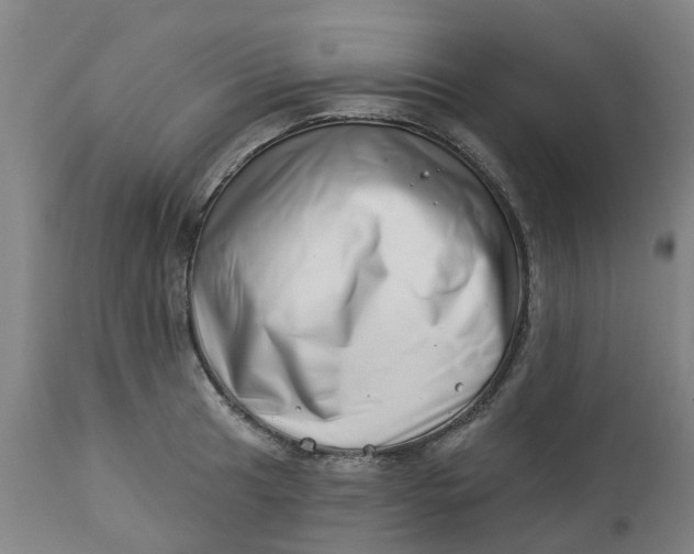 X0000112461041200909071105