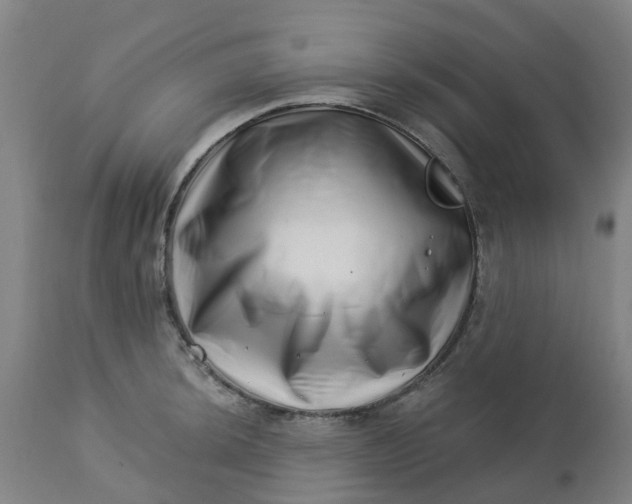 X0000112461044200909071105