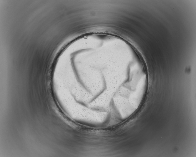 X0000112461045200909071105