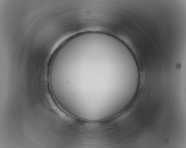 X0000112461046200909071105