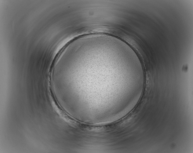 X0000112461047200909071105