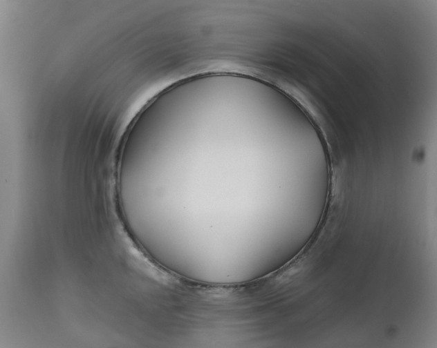 X0000112461048200909071105