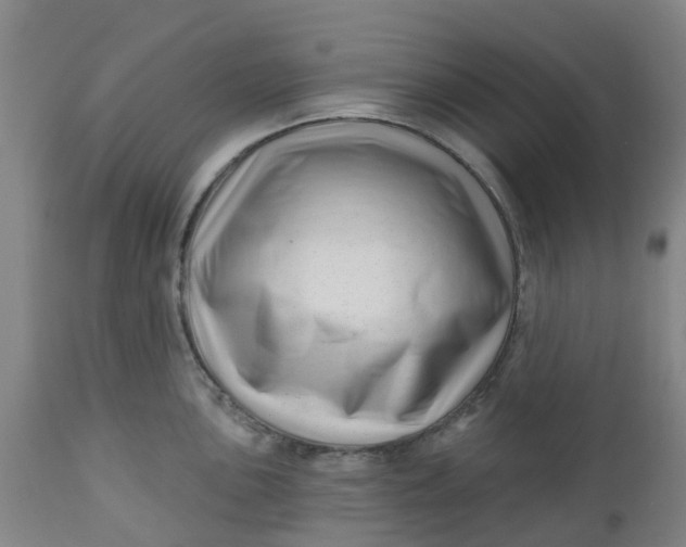 X0000112461051200909071105