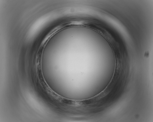 X0000112461052200909071105