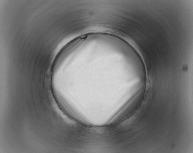 X0000112461053200909071105