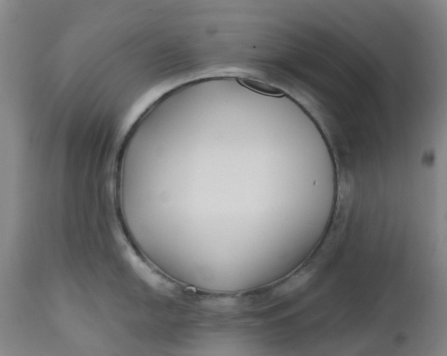 X0000112461054200909071105