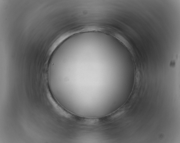 X0000112461055200909071105