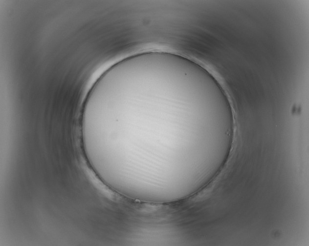 X0000112461056200909071105