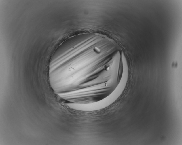 X0000112461057200909071104